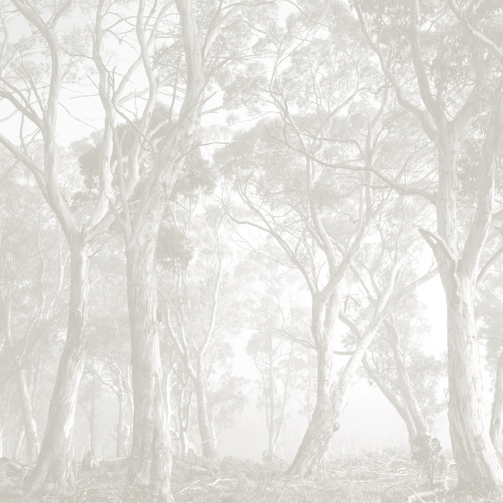 Bushland - Taupe