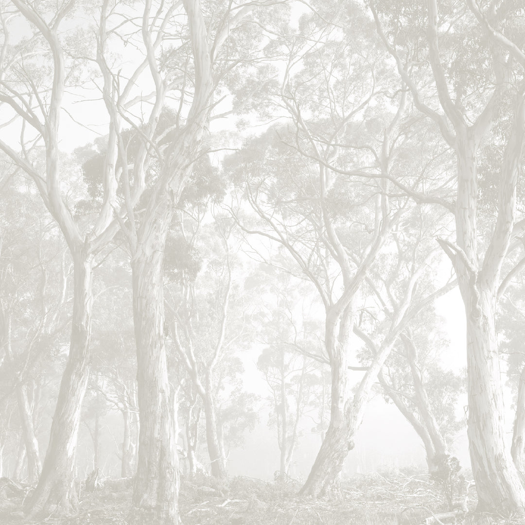Bushland - Taupe