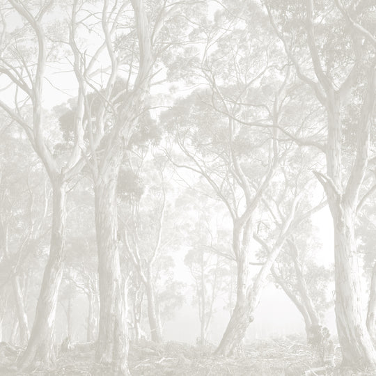 Bushland - Taupe
