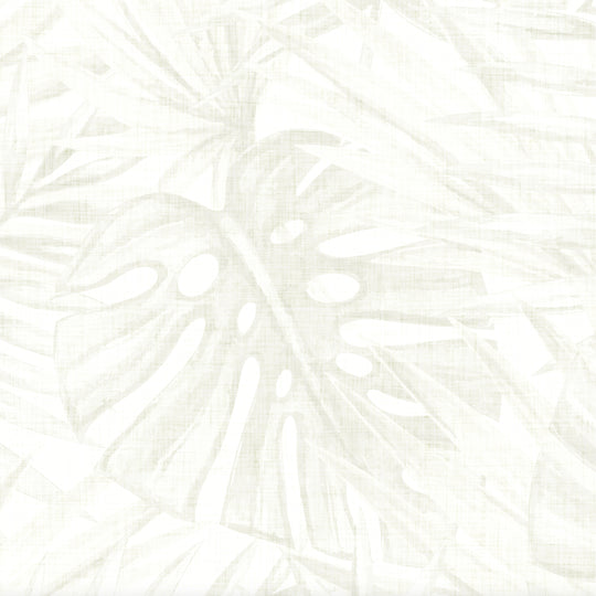 Tropical Forest - Fawn