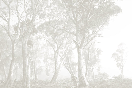 Bushland - Taupe