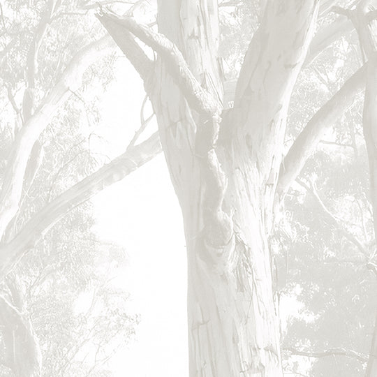 Bushland - Taupe