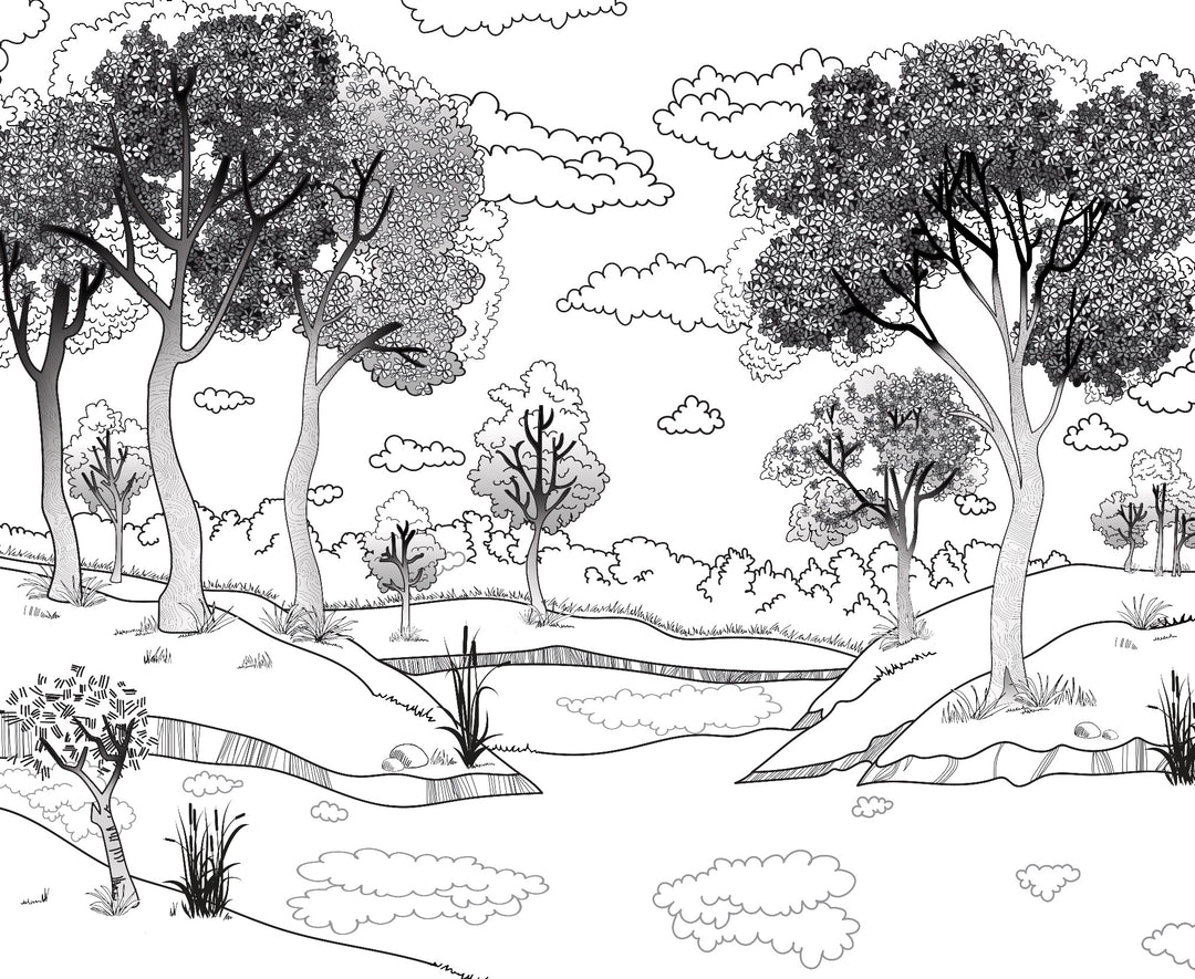 Quiet Woods