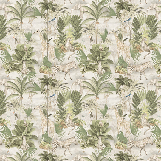 Safari Native