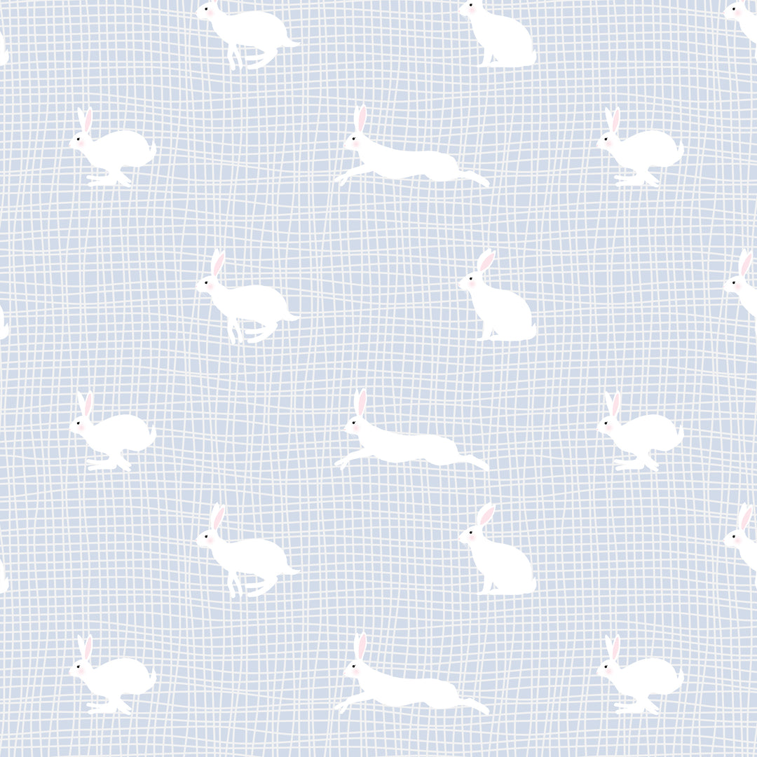 Run Rabbit Run in Cornflour Blue