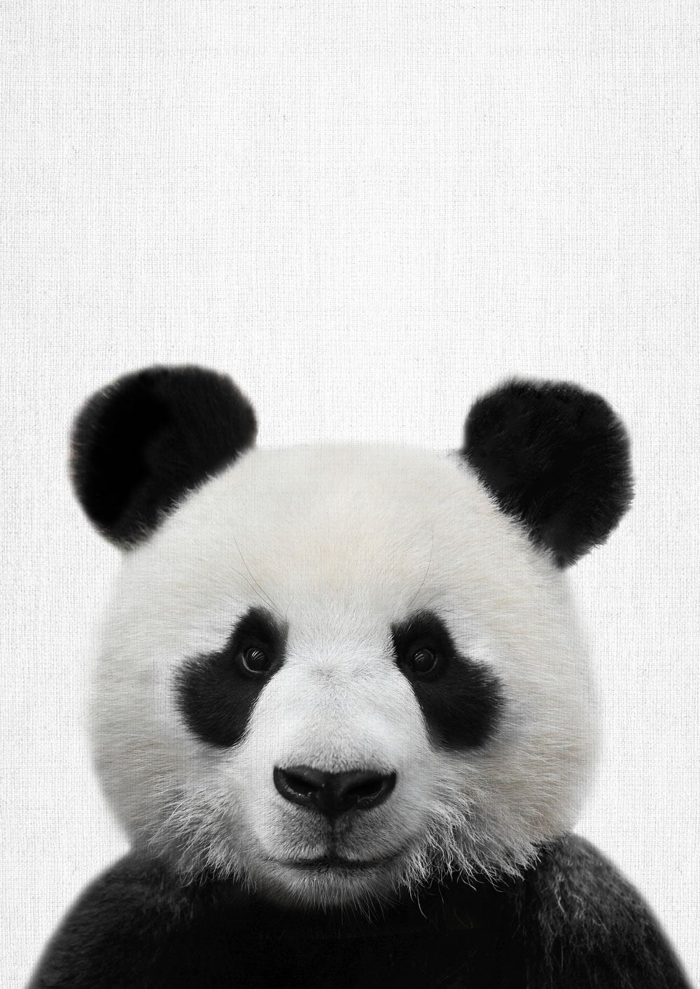 Nursery Animals - Panda