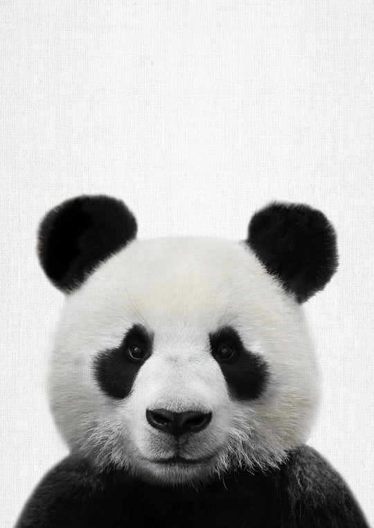 Nursery Animals - Panda