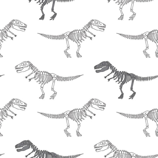 Dinosaur Skeletons