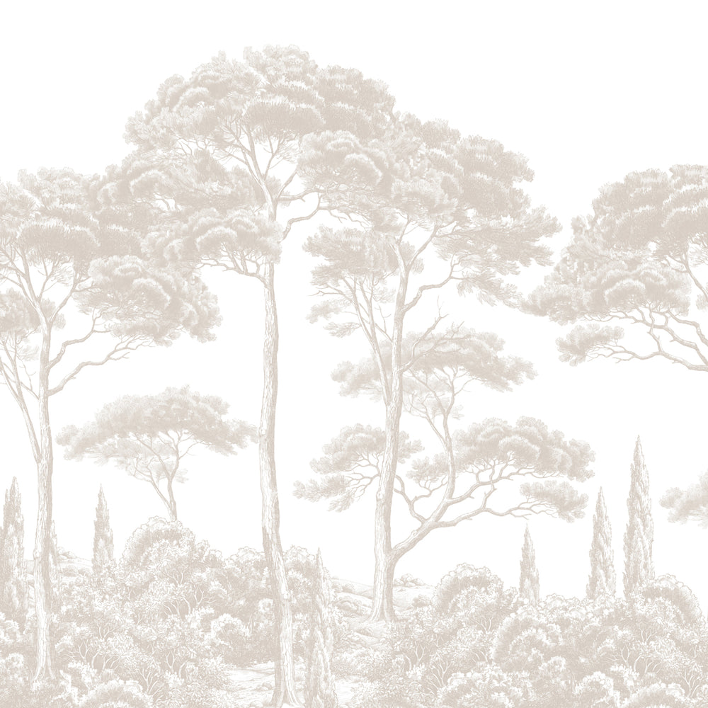 Eldermere - Soft Beige