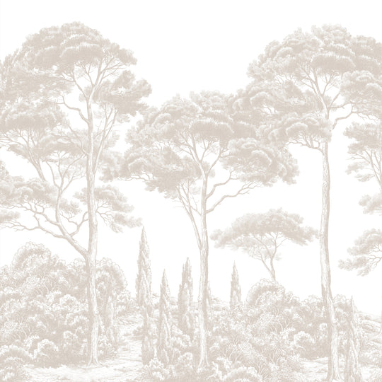 Eldermere - Soft Beige