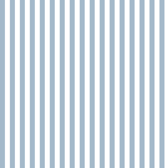 Literary Stripes ~ The Shelley in Little Boy Blue