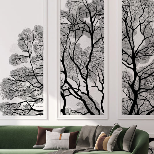 Black Oak