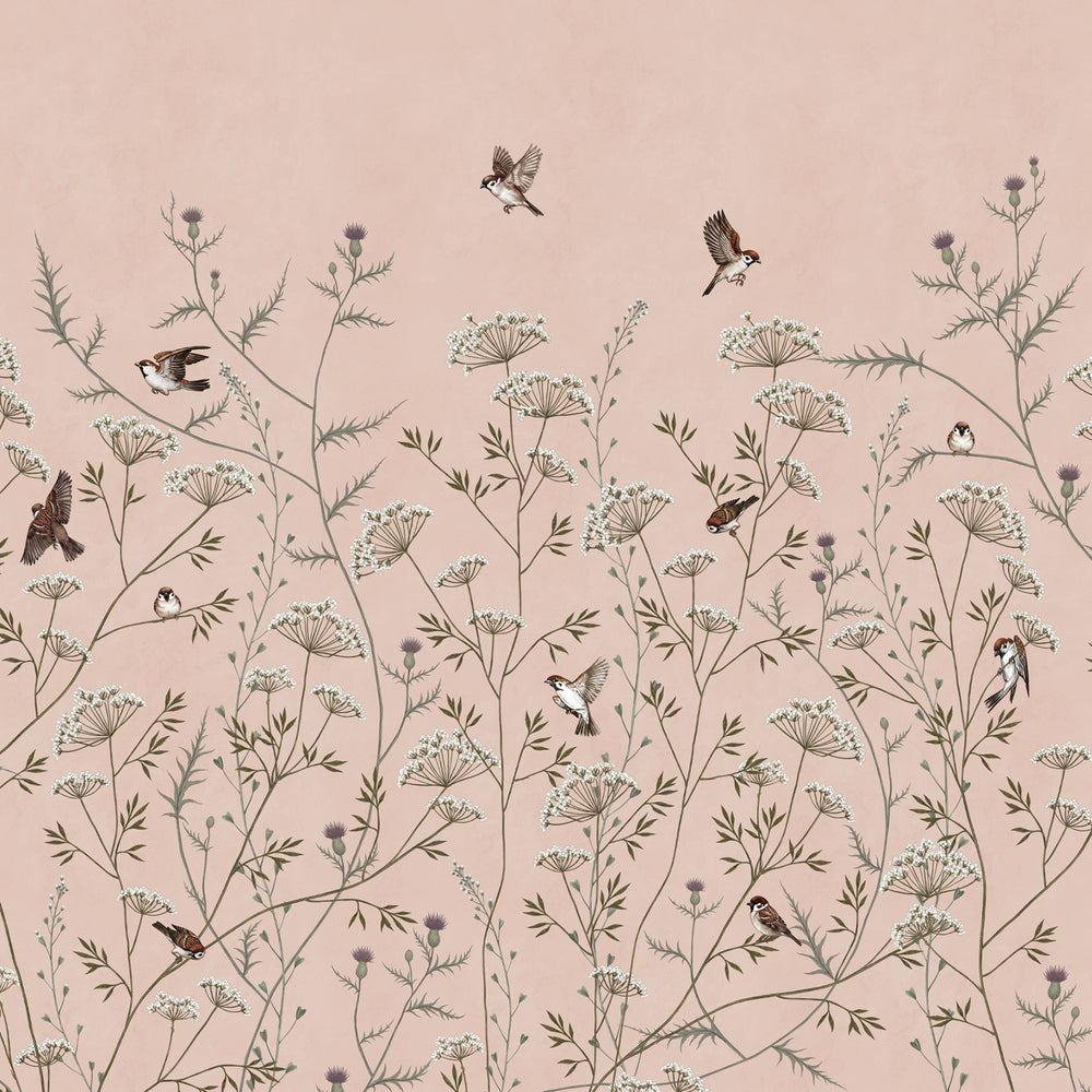 Whispering Thistle on Blush