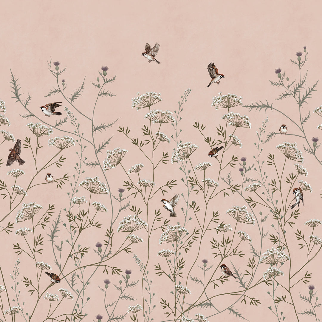 Whispering Thistle on Blush