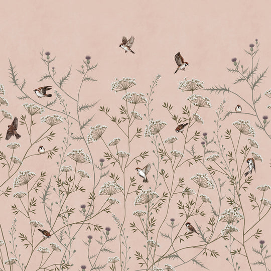 Whispering Thistle on Blush
