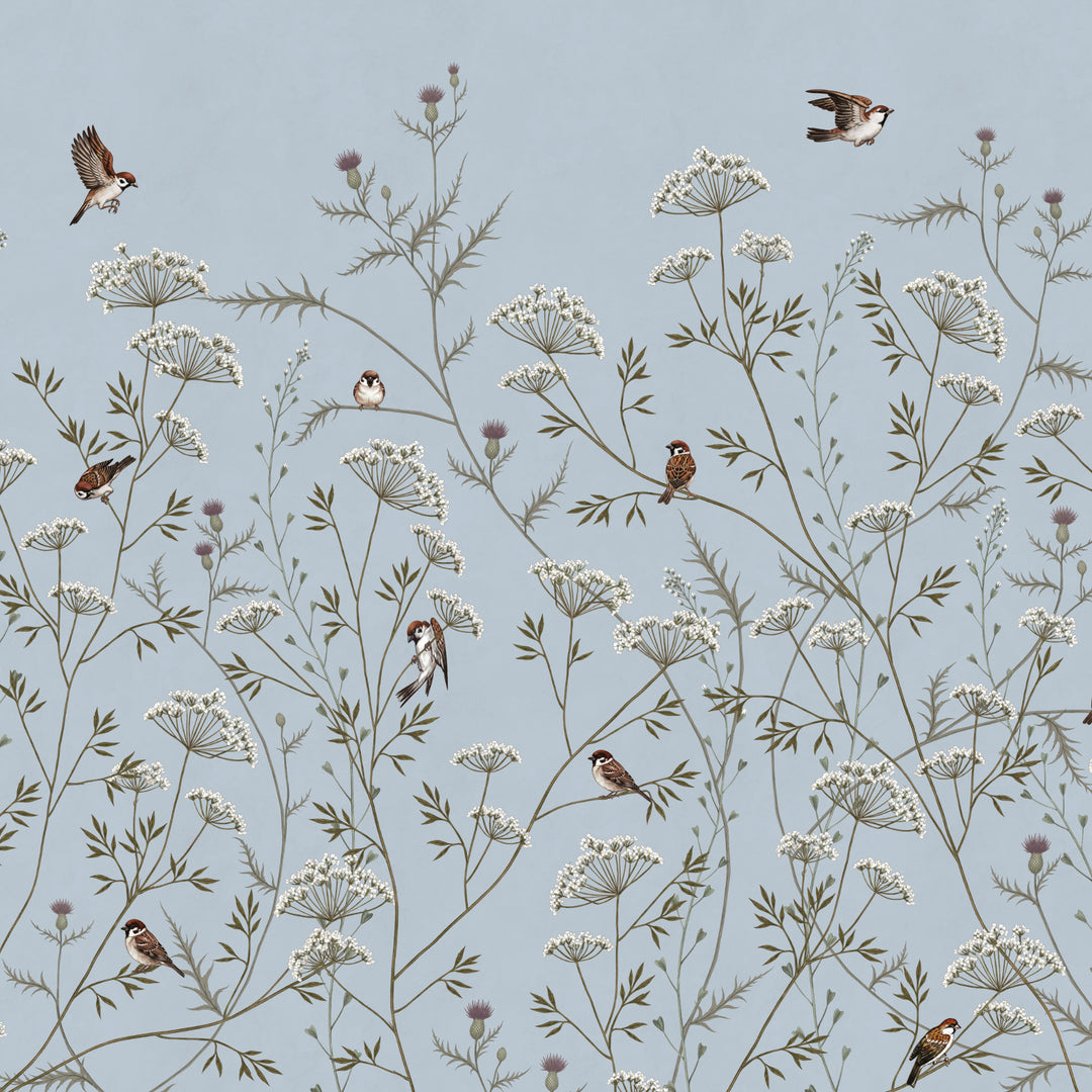 Whispering Thistle on Powder Blue