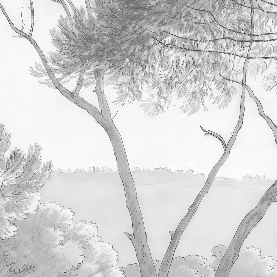 Umbrella Pines Study - Pale Ash