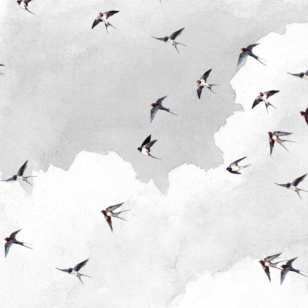 A Swoop Of Swallows