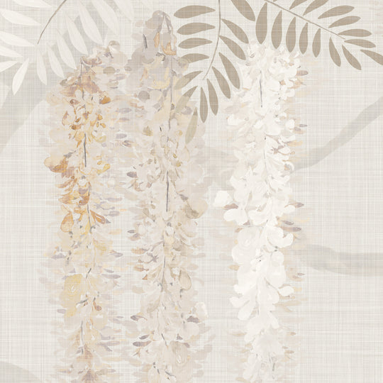 Weeping Wisteria - Faded