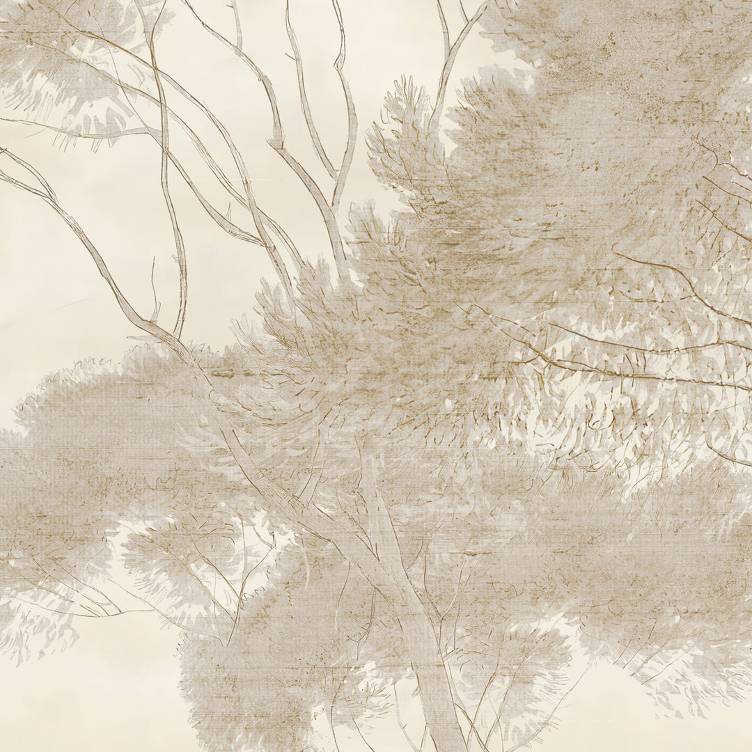 Umbrella Pines Study - Dusty Silk