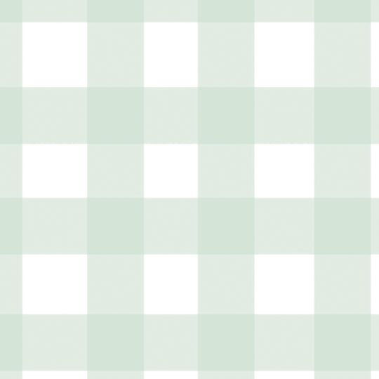 Gingham - Pale Green