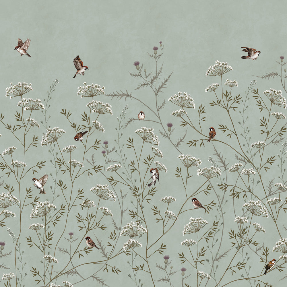 Whispering Thistle on Eucalyptus