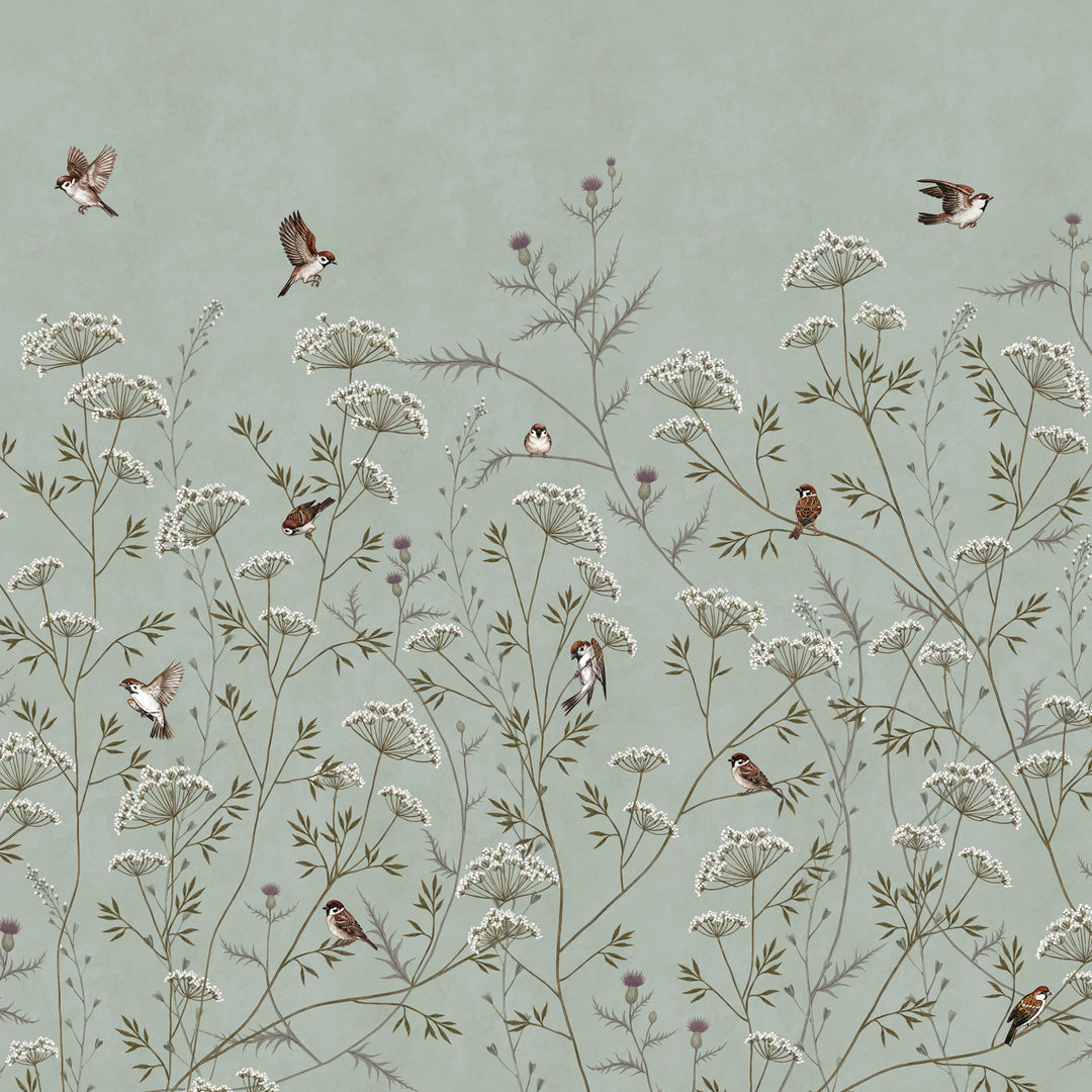 Whispering Thistle on Eucalyptus