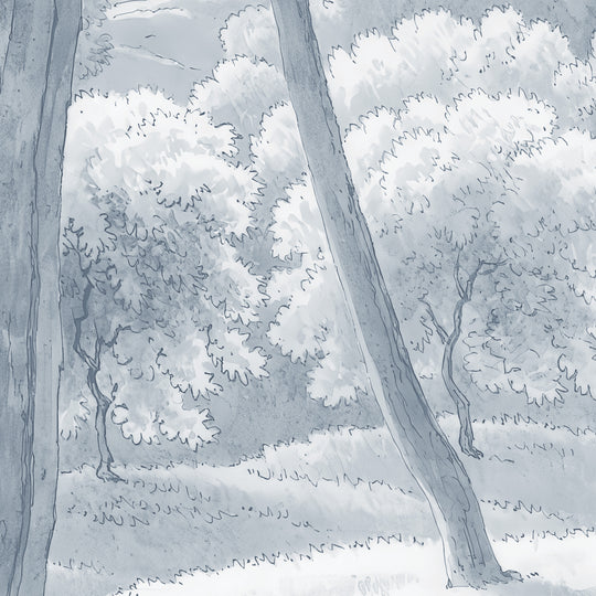 Umbrella Pines Study - Slate