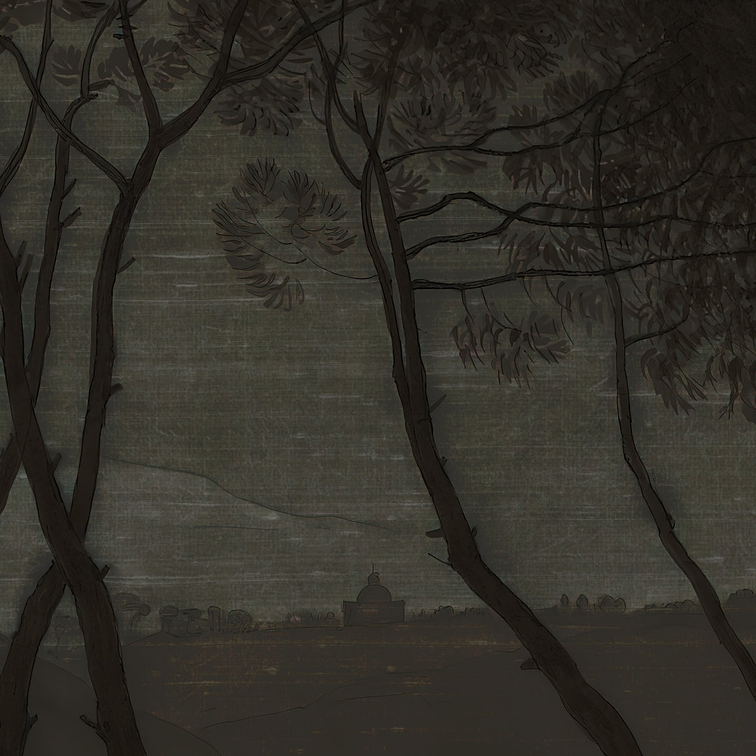 Umbrella Pines Study - Shadow Silk