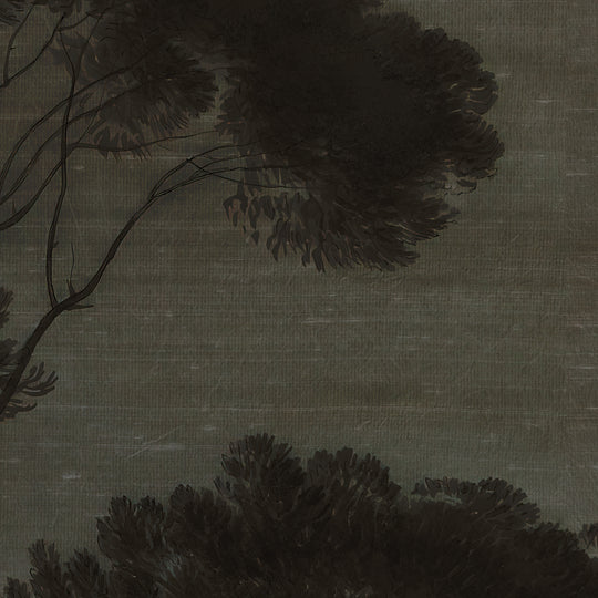 Umbrella Pines Study - Shadow Silk