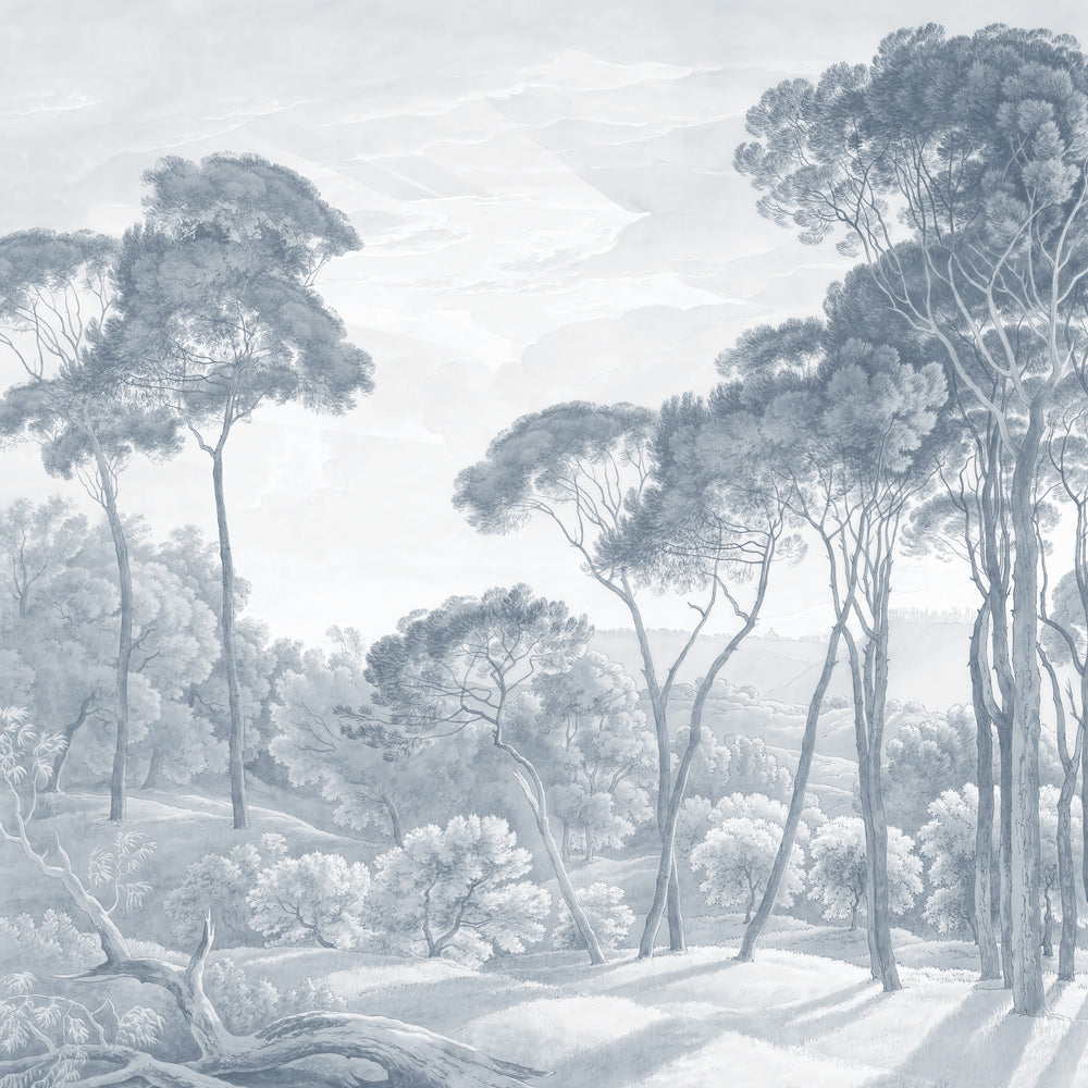 Umbrella Pines Study - Slate