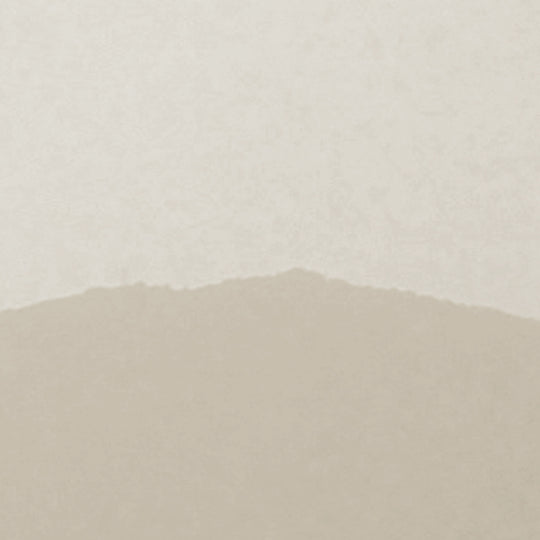 Misty Mountains Desert Brown