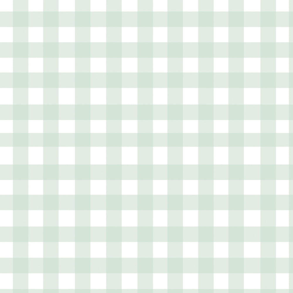Gingham - Pale Green
