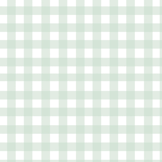 Gingham - Pale Green