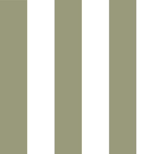 Literary Stripes ~ The Alcott in Olive