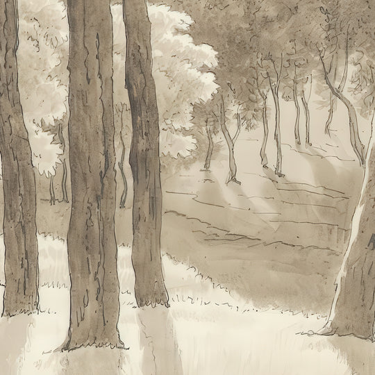 Umbrella Pines Study - Ecru