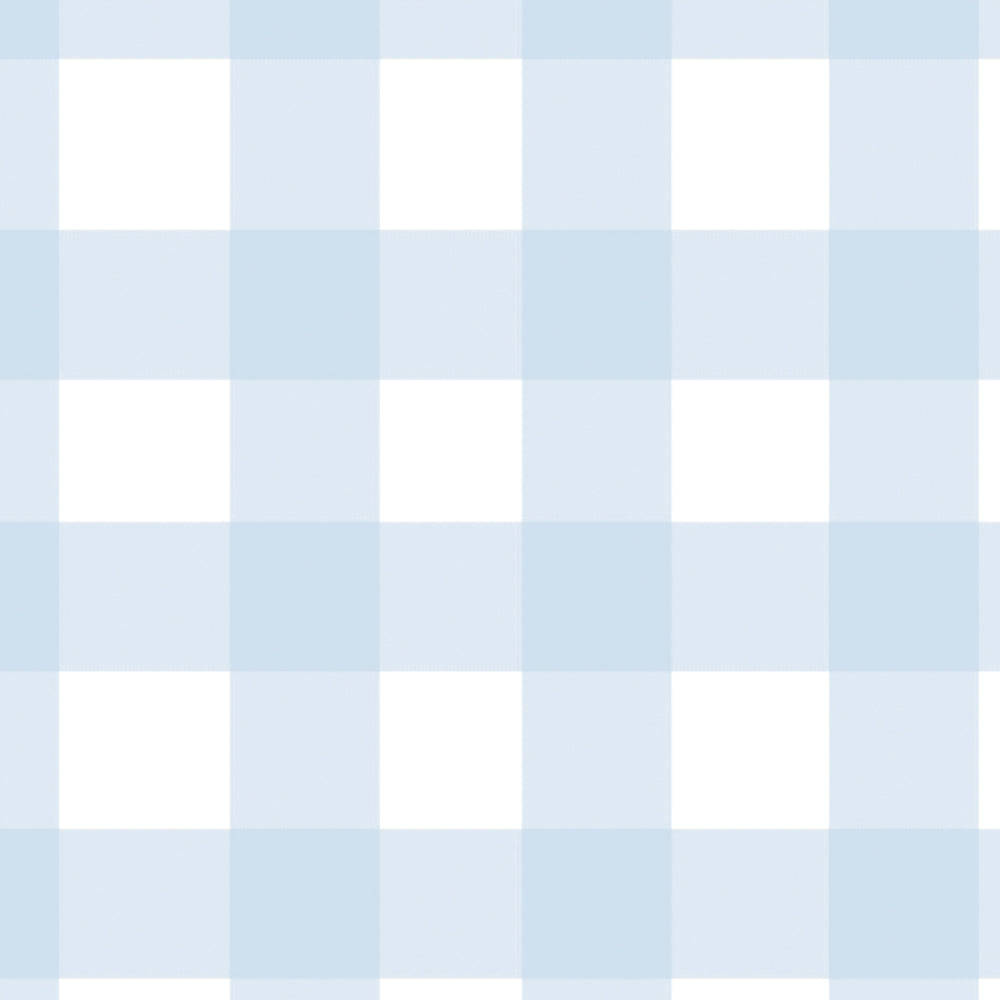 Gingham - Powder Blue