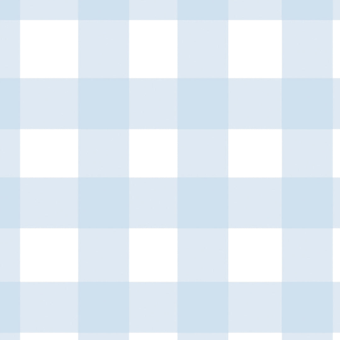 Gingham - Powder Blue