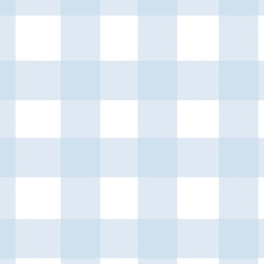 Gingham - Powder Blue