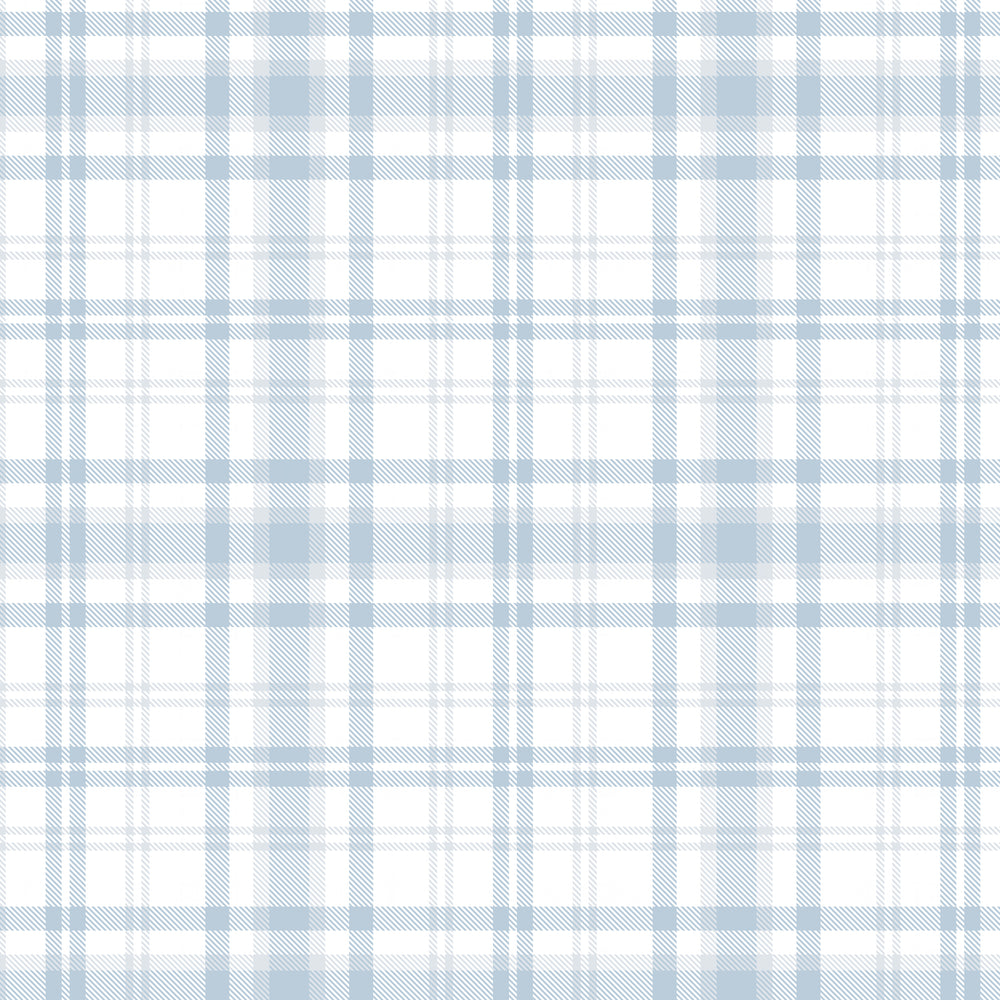 Plaid - Pale Blue