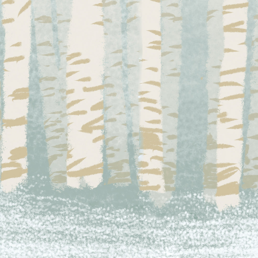 Birch Tree Forest