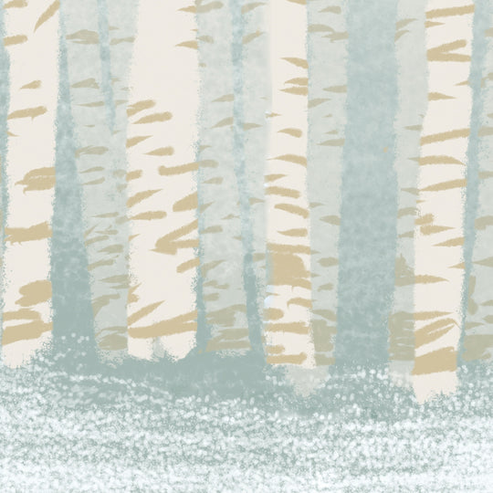 Birch Tree Forest