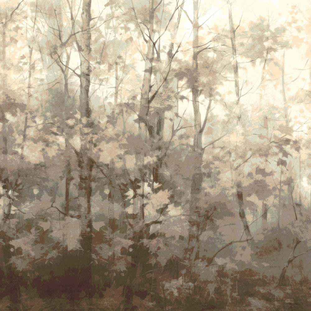 Basswood Forest