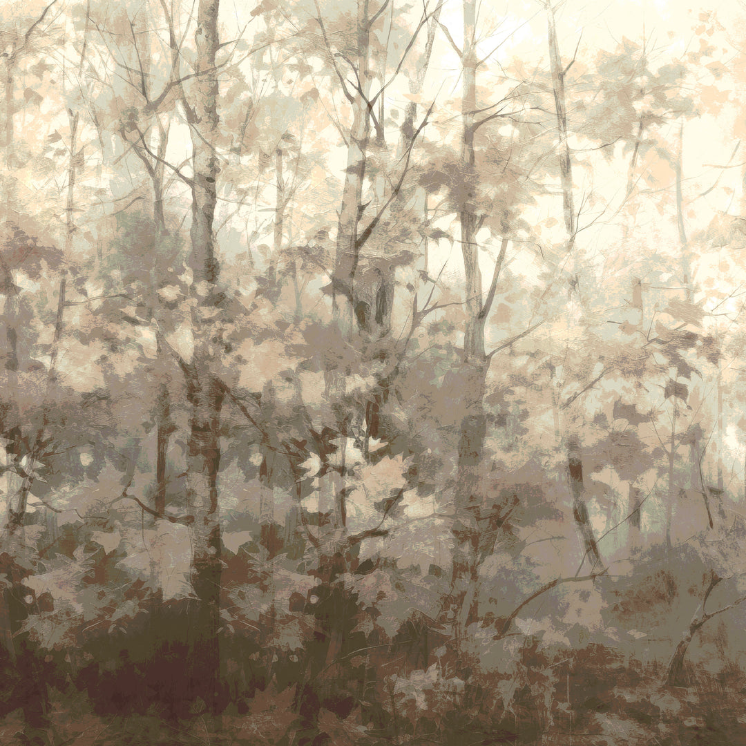 Basswood Forest