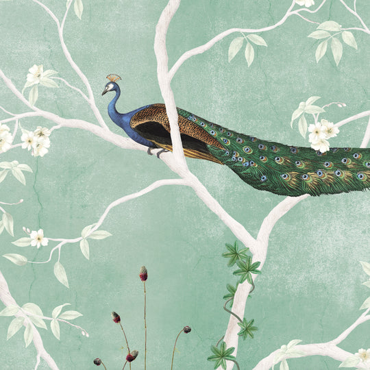 A Pride of Peacocks - Sage