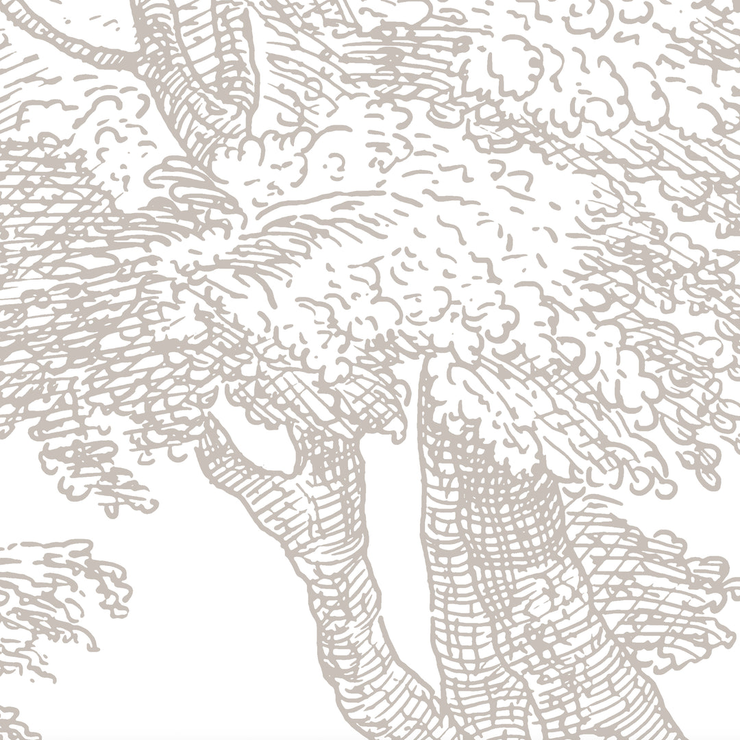 Babbling Brook - Walnut Brown