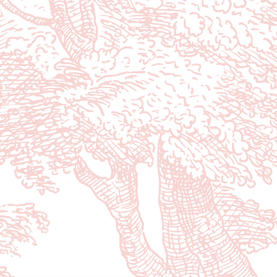 Babbling Brook - Tea Rose