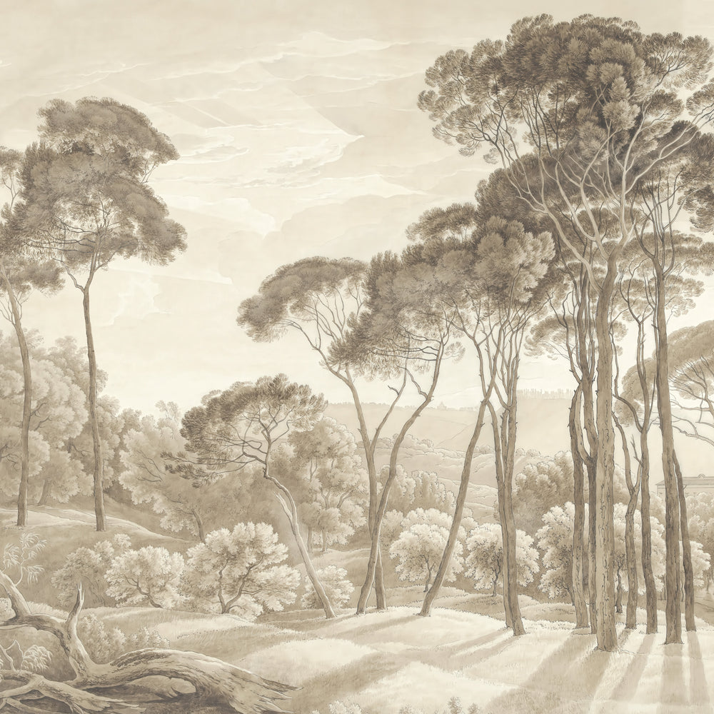 Umbrella Pines Study - Ecru