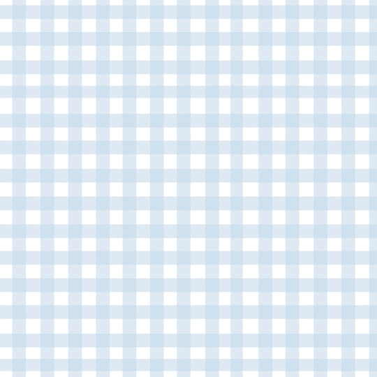 Gingham - Powder Blue