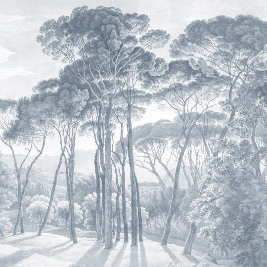 Umbrella Pines Study - Slate